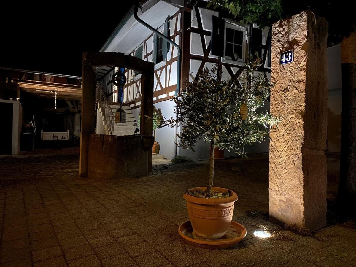 Апартаменти Traumhaft Wohnen Im Haus Blum Гербольцгайм Екстер'єр фото